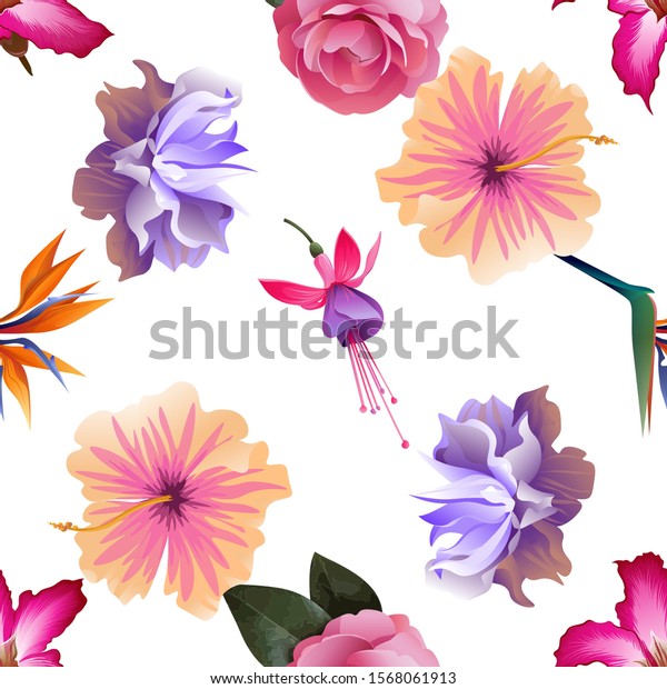 ピンクアデニウム オレンジ ストレリツィア レギナ科 ピンク バルサム 紫色のクレマチス ピンクのハイビスカス ピンクと紫のフクシア ベラ イラトス シームレスな背景パターン 花の植物の花 野生の葉 のイラスト素材