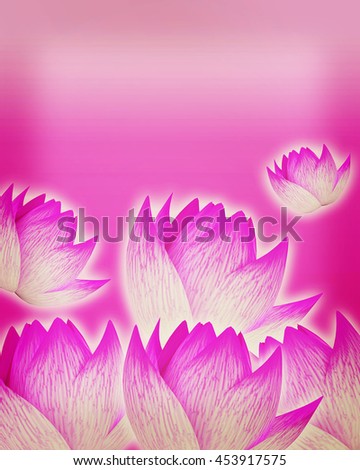 Similar – Pink Beauty Farbfoto