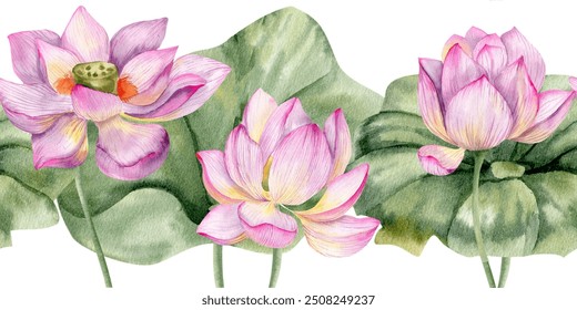 Pink blooming lotus flowers with fresh green leaves seamless border. Hand drawn banner with floral elements, water lily bouquet for wedding decor, product packing, web banner design. - Powered by Shutterstock