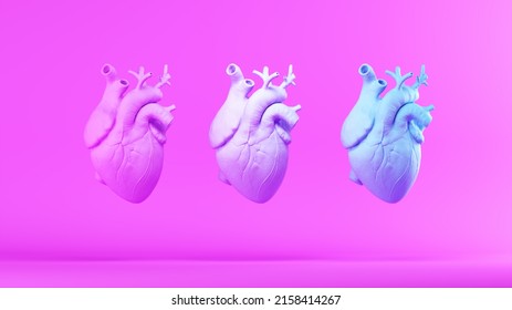 Pink Blue Anatomical Human Heart Trans Health Care Equality Masculine Feminine Personality With Pink Background 3d Illustration Render