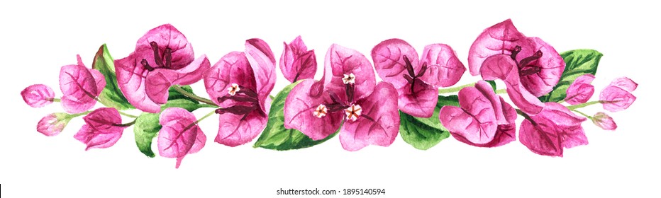 Pink Bougainvillea border with flowers and leaves. Hand drawn watercolor illustration, isolated on white background