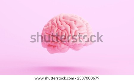 Pink brain anatomy mind intelligence medical organ science pink background quarter view 3d illustration render digital rendering