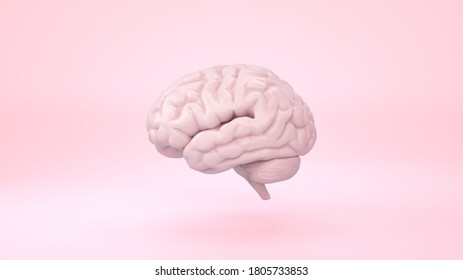 Pink Brain In Front View On Minimal Background, Thinking Comic Speech Bubble. 3d Rendering.