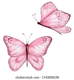 Pink butterflies; watercolor hand draw illustration; with white isolated background