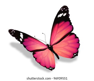 102,880 Pink butterfly isolated Images, Stock Photos & Vectors ...