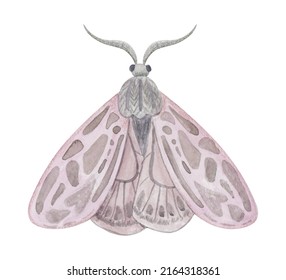 Pink Butterfly Watercolor Hand Drawn Illustration. Forest Moth Clipart Element Isolated On White Background.