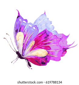 Pink Butterflywatercolorisolated On White Stock Illustration 619788134 ...