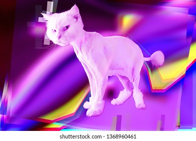 Pink Cat. Retro Wave Synth Vaporwave Portrait Of A Funny Cat. Concept Of Memphis Style Posters.