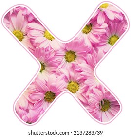 Pink Color Spring Flower Capital Letter X, Design Element Alphabet, Daisy