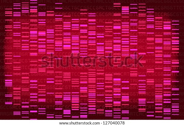 Pink DNA\
gel