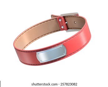 Pink Dog Collar Isolated On White
