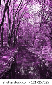 Pink Fantasy Forests Stock Illustration 1217257525 | Shutterstock