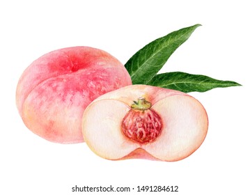 Pink Figs Peach Fruit Watercolor Isolated On White Background