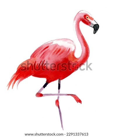 Pink flamingo bird on white background. Ink and watercolor painting