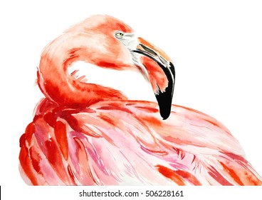 Pink Flamingo bird profile portrait, amazing beautiful animal, art print, watercolor wildlife drawing