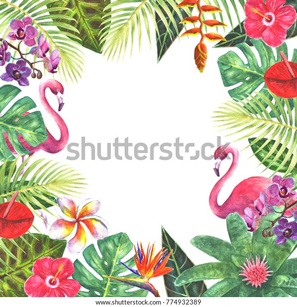 Pink Flamingo Birds Exotic Tropical Jungle のイラスト素材