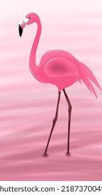 Pink Flamingo In Pink Haze 