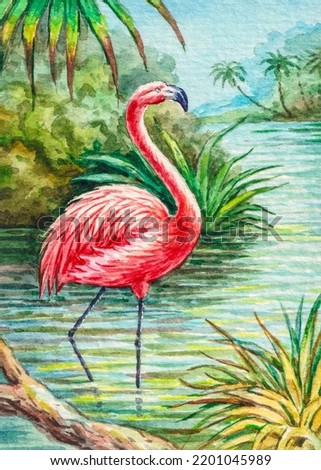 Pink flamingo. Tropical nature. Beautiful bird. Lake or river. Watercolor painting. Acrylic drawing art. A piece of art. 