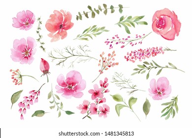 Pink Floral, Flowers, Leaves, Watercolour Illustration 