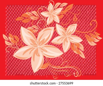 Pink flower