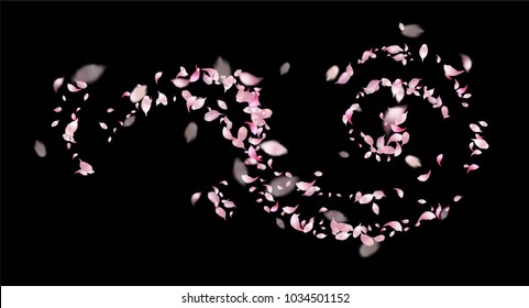 Pink flying Sakura petals on black background