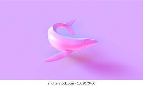 Pink Humpback Whale 3d Illustration 3d Render