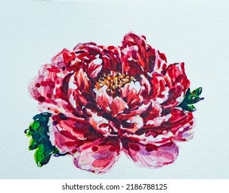 Pink Large Chief Justice Peony With Leaves.watercolor Illustration.