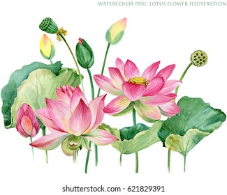 pink lotus border  watercolor botanical illustration 