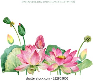 pink lotus border  watercolor botanical illustration 