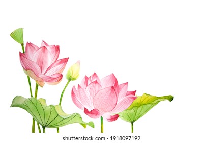 lotus painting