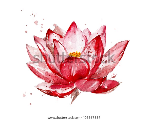 白い背景にピンクのハスの水色イラスト 手描きの蓮の花 水彩の花はしぶき しみ 植物学のイラスト のイラスト素材