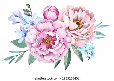 Pink peonies on a white background. Spring flowers bouquet. Watercolor illustration.
