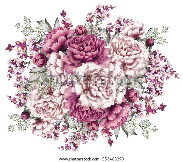 Pink Peonies Watercolor Flowers Floral Illustration Stock