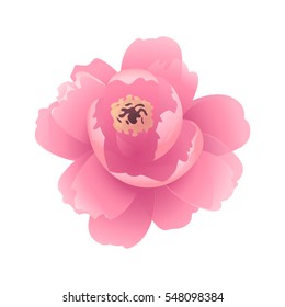 Abstract Background Peony Flower Blossom Stock Illustration 46847701 ...