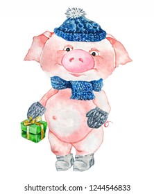 The Pink Piglet In A Blue Knitted Hat, Scarf, Pellets And Shoes Holds A Green Gift Box. Watercolor.