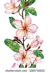 Pink Plumeria Flower On A Twig. Border Illustration. Seamless Floral Pattern. Isolated On White Background.  Watercolor Painting. Hand Drawn. 