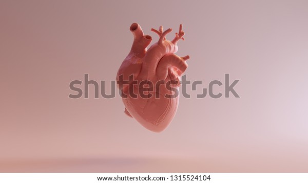 Pink\
Porcelain Anatomical Heart 3d illustration 3d\
render