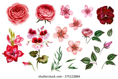 Pink And Red Flowers In Watercolor. Red Rose. Pink Apple Blossom. Purple Viola Flower. Almond Blossom. Peach Bloom. Green Leaves. Botanical Illustration. For Valentines Day, Weddings