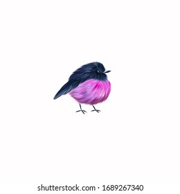 Pink Robin Garden Bird Digital Art Illustration