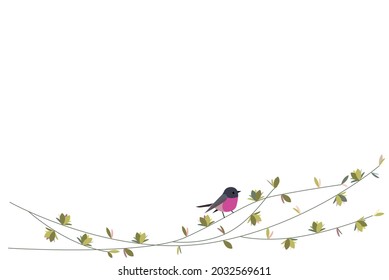 Pink Robin On The Tree Branch