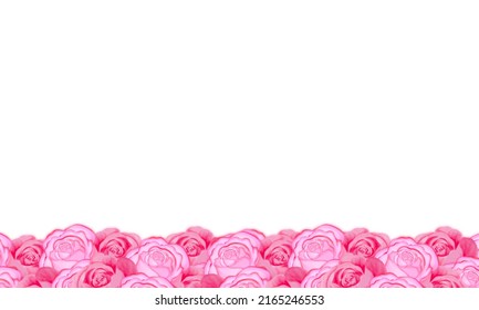 892 Product Background Decorate With White Flower Images, Stock Photos ...