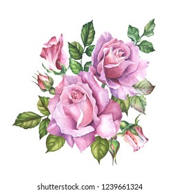 Watercolor Illustrations Tender Pink Roses Paper Stock Illustration ...