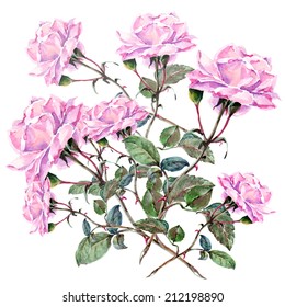 Pink Roses On White Background Cluster Stock Illustration 212198890 ...