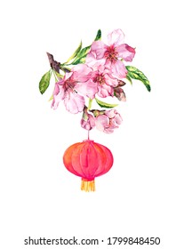 Pink Spring Flowers And Red Holiday Lantern. Cherry Blossom, Sakura . Illustration For Chuseok, Chinese New Year. Watercolor