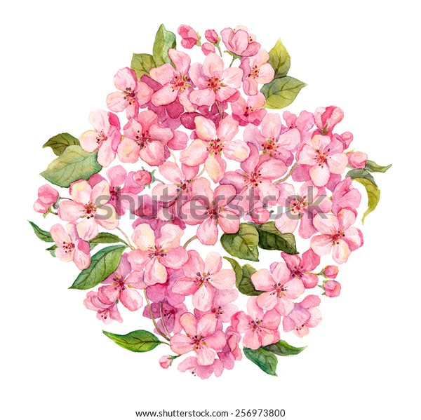ピンクの春の花 桜 リンゴの花 水彩 のイラスト素材