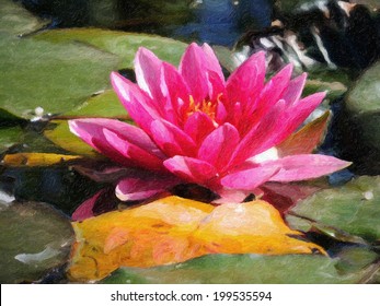 Pink Water Lily Digital Painting Oil Stock Illustration 199535594 ...