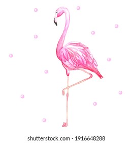 Pink Watercolor flamingo. Hand drawn Illustration on white background