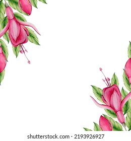 Pink Watercolor Fuchsia Flower Illustration Exotic Stock Illustration ...