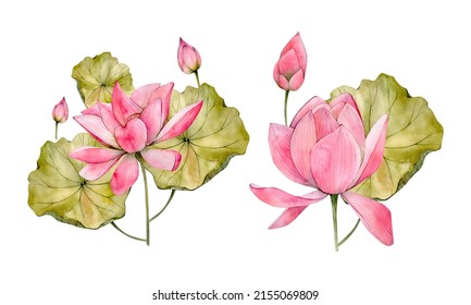 Pink Watercolor Hand Drawn Lotus Flower Illustrations. Watercolour Water Lily Flowers Leaf And Bud Isolated On White Background. Beauty Floral Clipart Compositions 