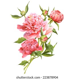 Pink Watercolor Peonies Vintage Greeting Card 